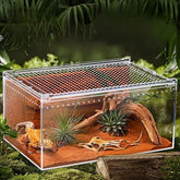 Acrylic Breeding Box for Reptiles 30x20x15cm